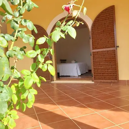 Villa Stunning 8-bed In Estoi